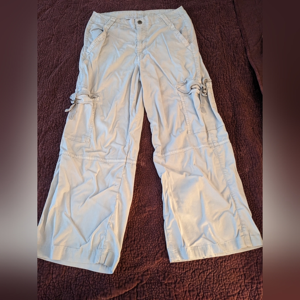 American Eagle Outfitters baby blue Cargo Pants